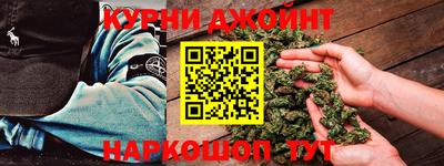 гидра Краснознаменск