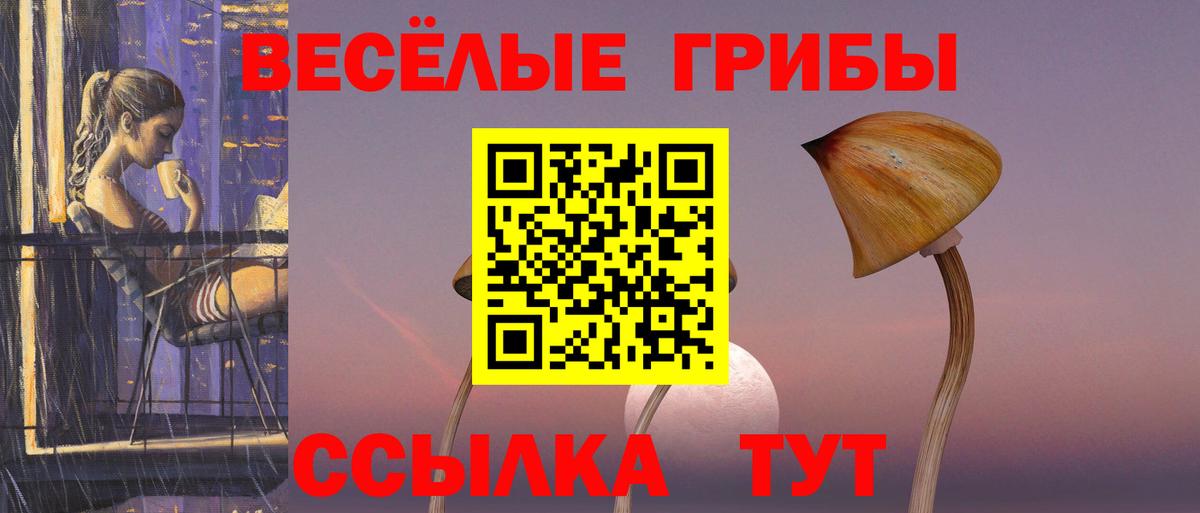 дарнет шоп  Галлюциногенные грибы мицелий  Вход с VPN  Зерноград 